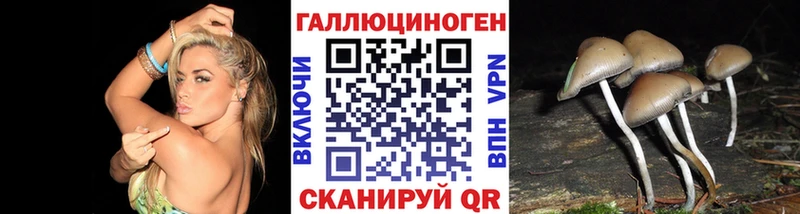 где купить наркотик  Терек  Псилоцибиновые грибы мицелий 