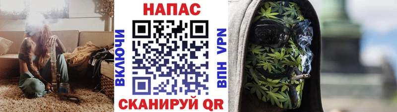 Конопля сатива  Терек 